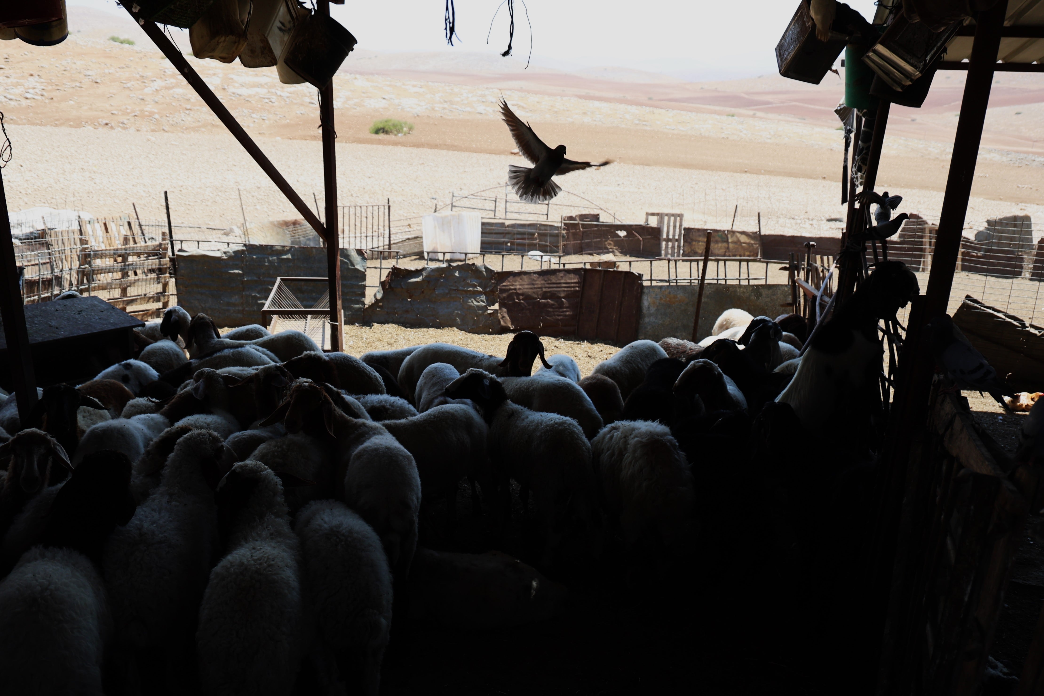 The Khirbet Makhul community in the Jordan Valley (occupied West Bank) where Hasan lives with his family.