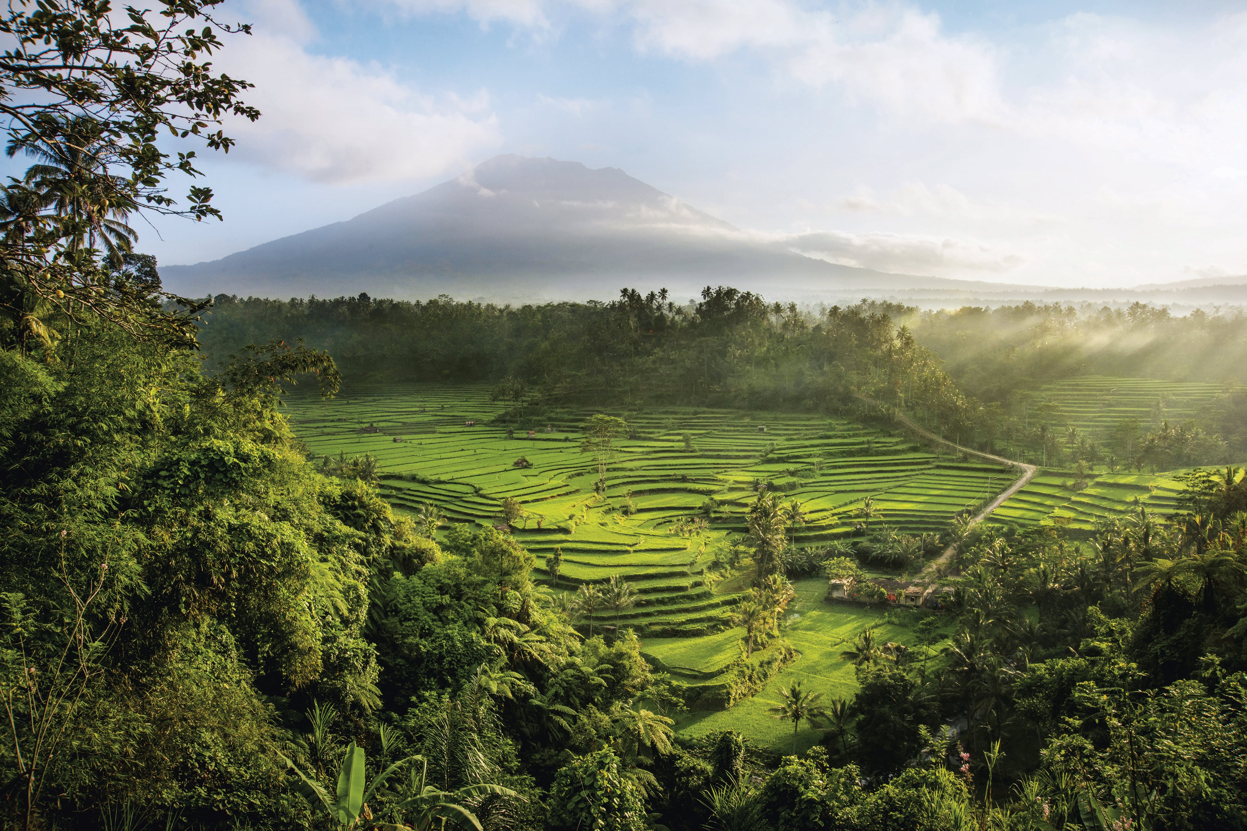 What is Lo-TEK, the ecological alternative to extractive technology