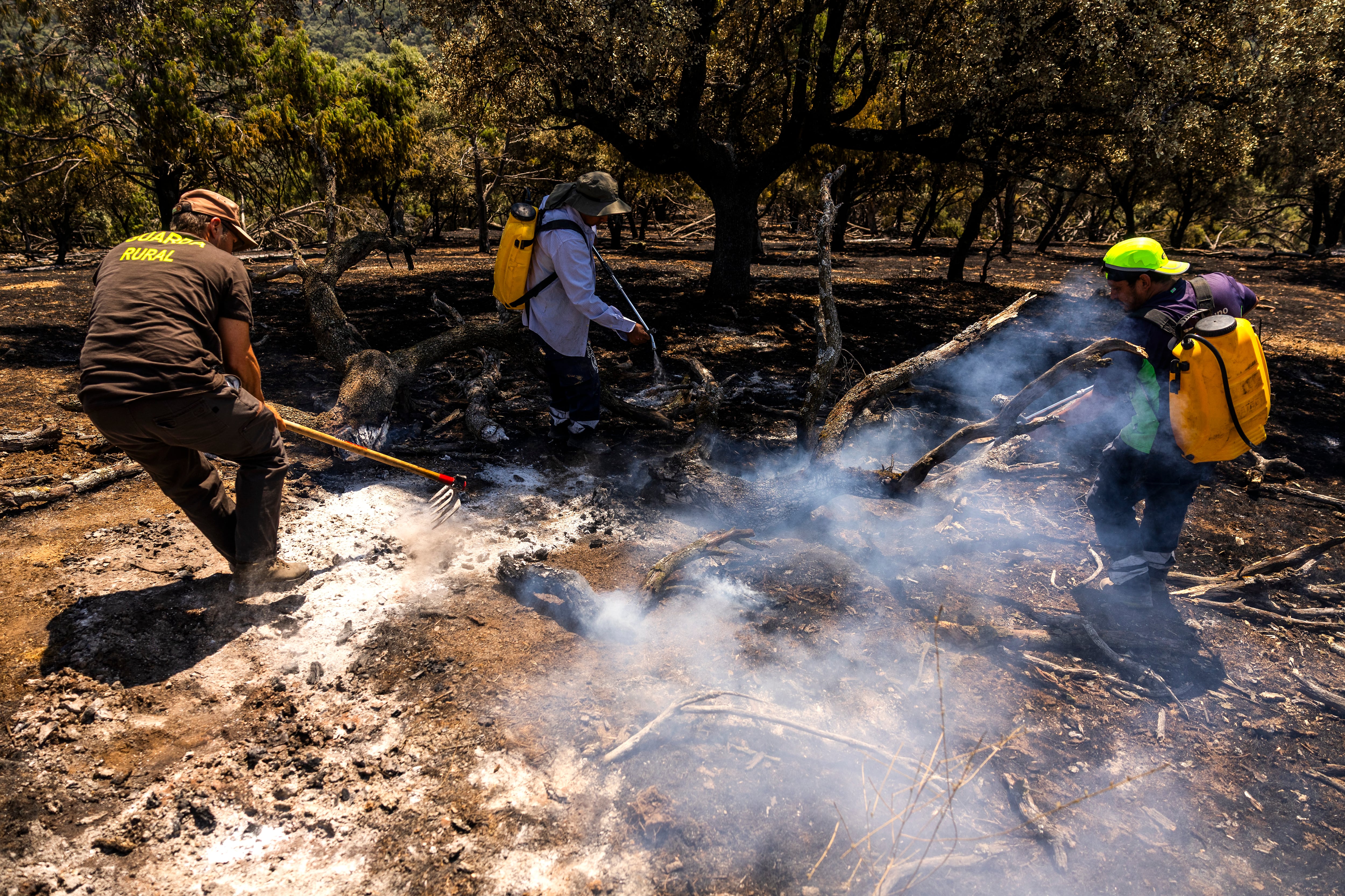 A day with a firefighting crew in Madrid: ‘The firefighters can’t keep up; last night there were three new fires’
