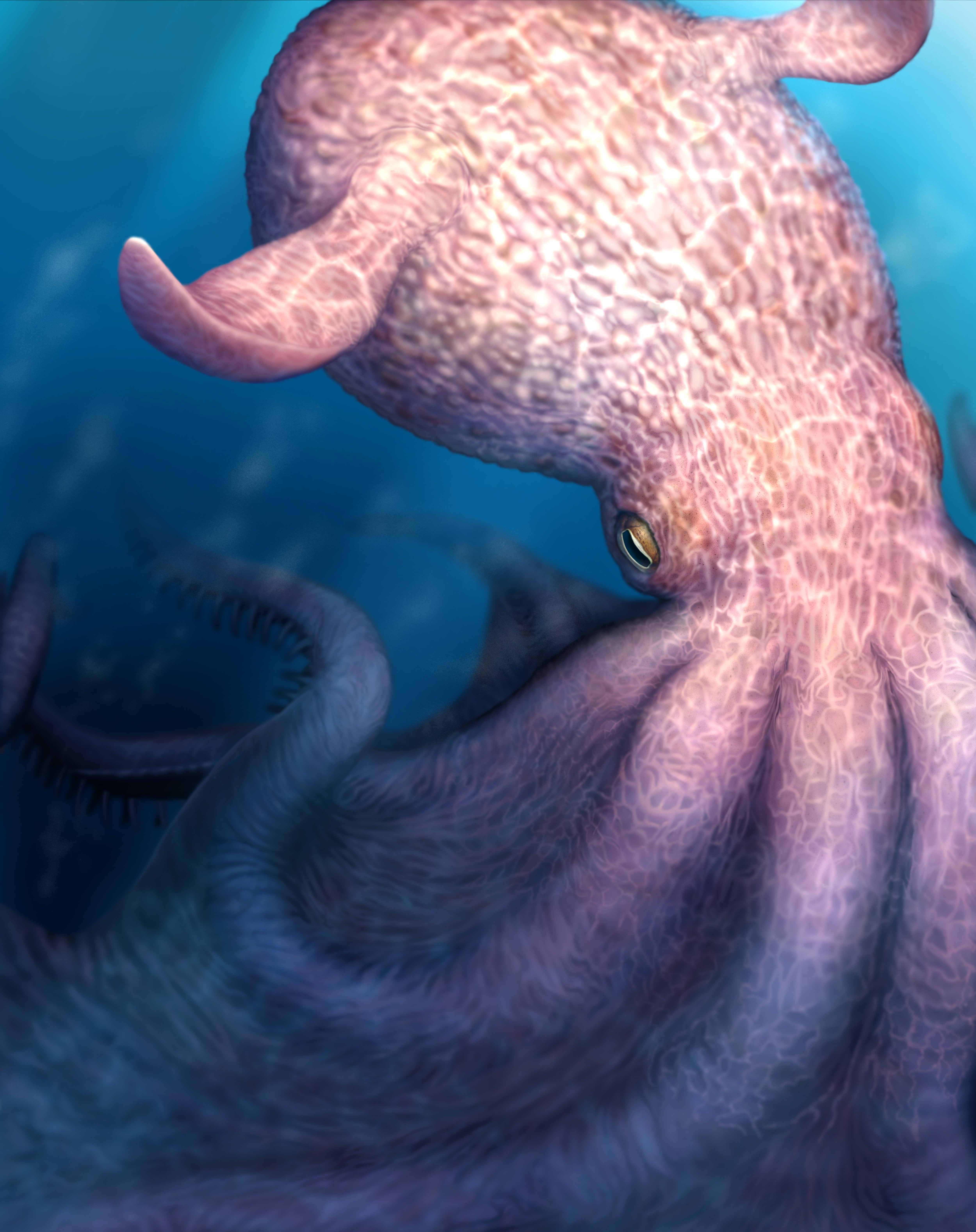 The kraken was real: scientists discover a 100-million-year-old carnivorous octopus the size of an articulated bus