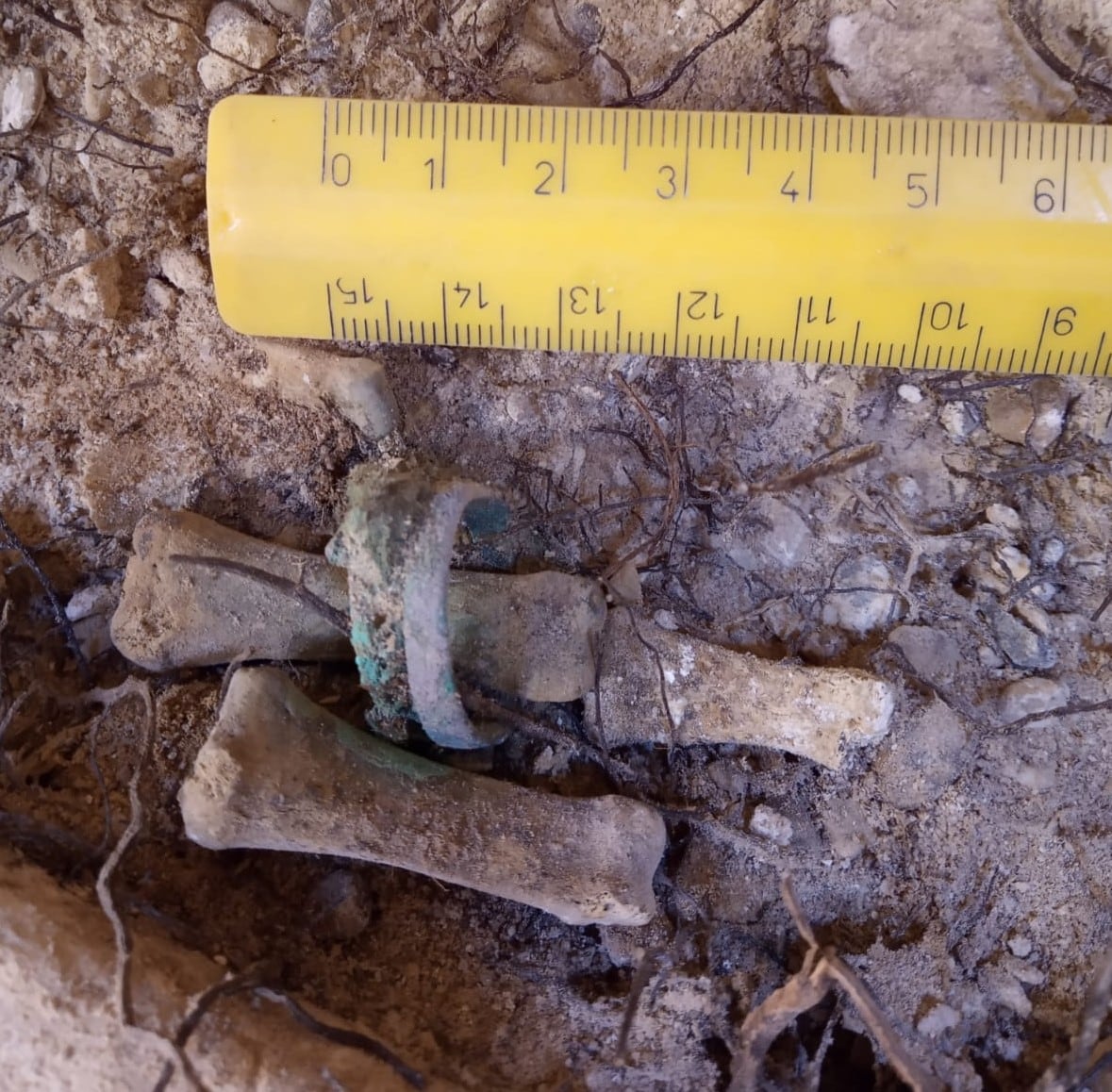 A double ring discovered on the hand of one of the individuals buried in the Muslim cemetery of Tudela, in the northern Spanish region of Navarra.