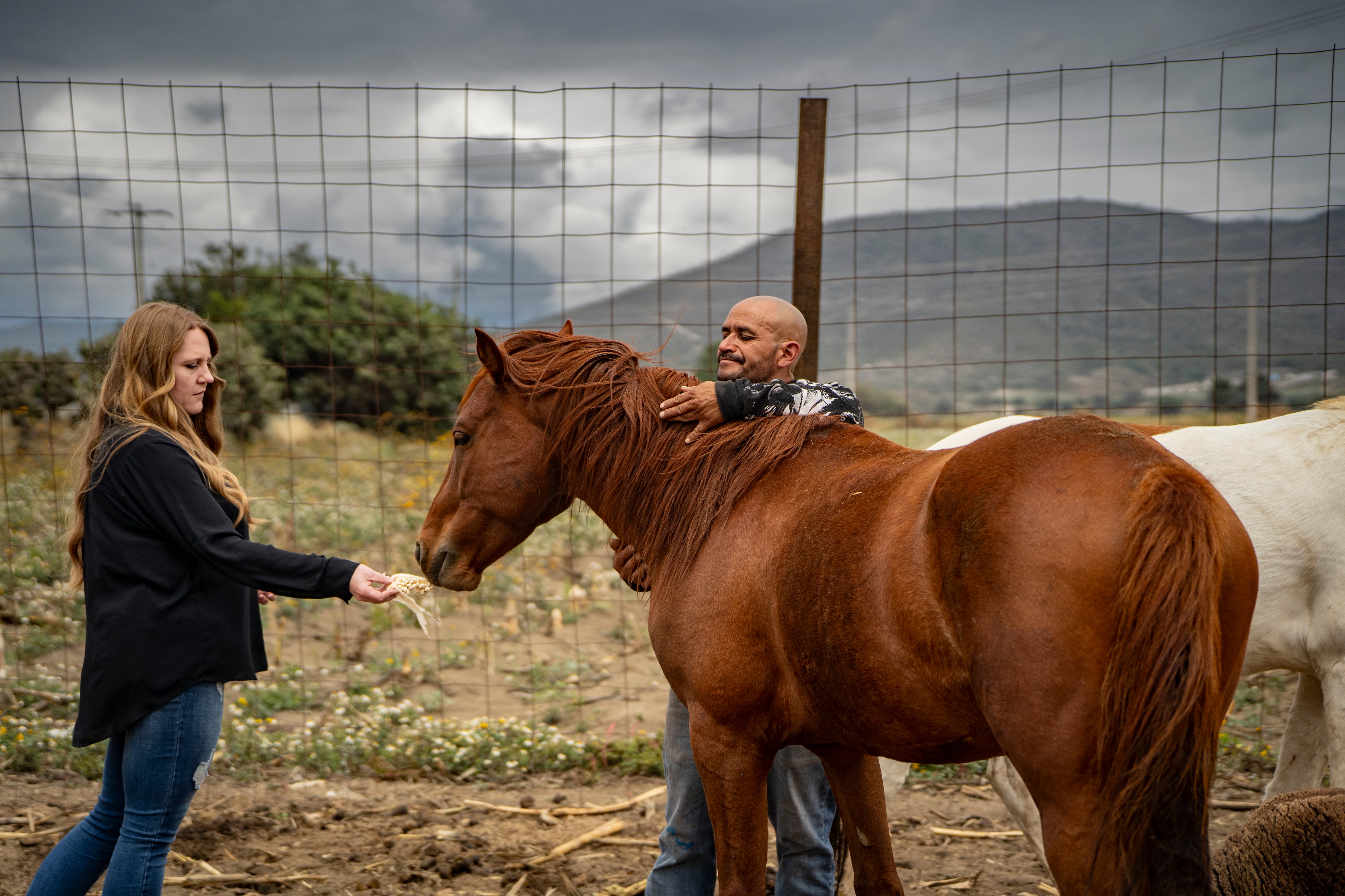 Candice and Fidel feed a horse on their farm.