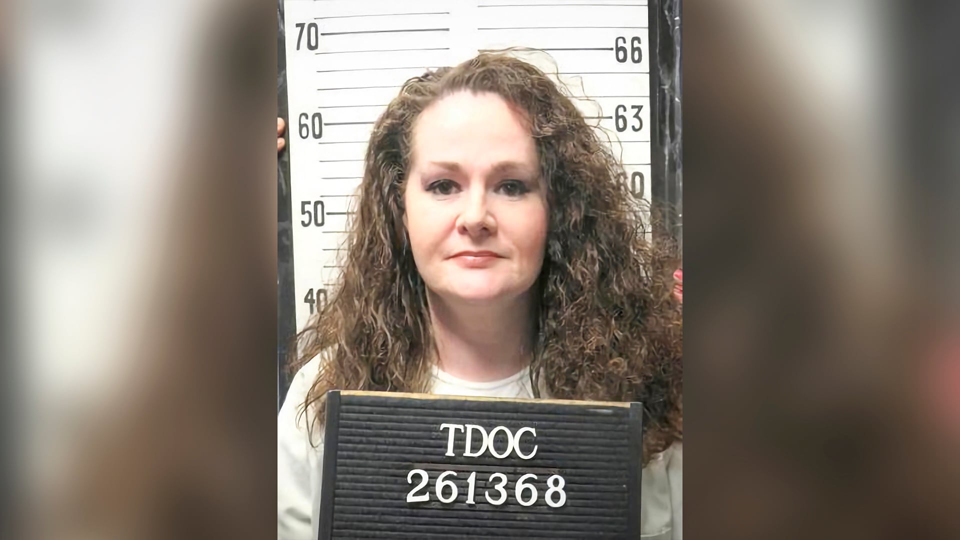 Tennessee governor halts executions after Christa Pike survives two lethal injections
