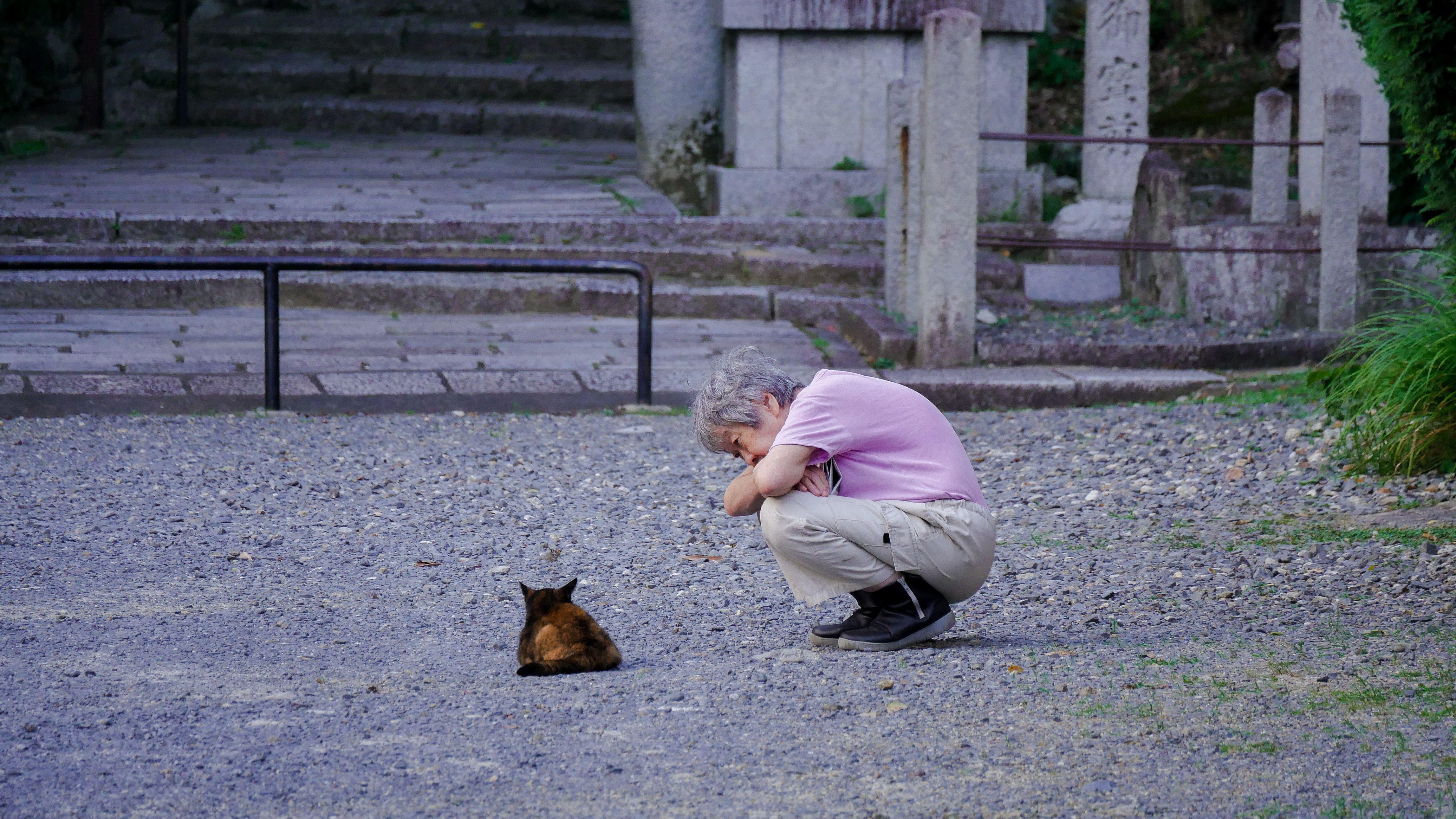 ‘Nekonomics,’ or the great Japanese cat economy