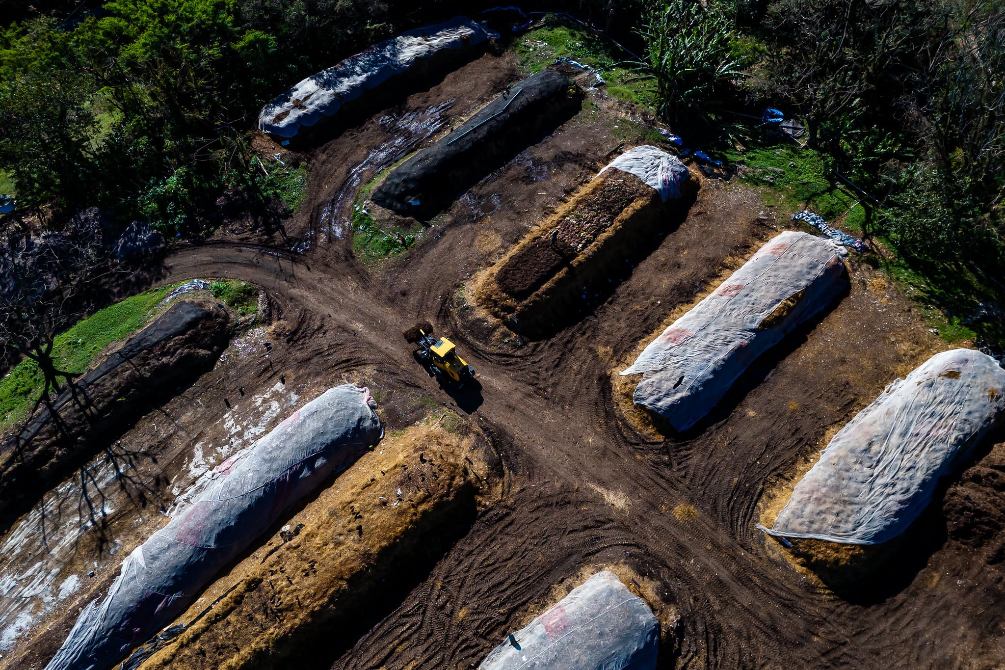 Florianópolis, the Brazilian city that wants to eradicate waste