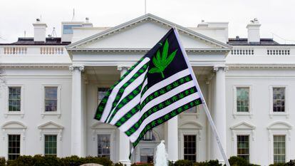 A demonstrator waves a flag with marijuana leaves depicted on it during a protest calling for the legalization of marijuana, outside of the White House on April 2, 2016