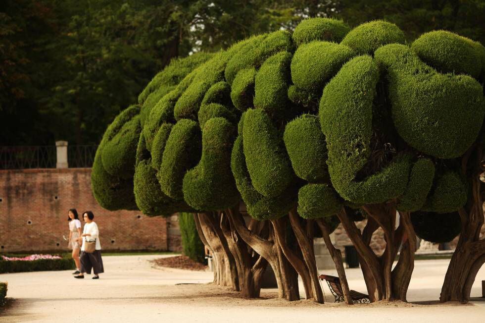 Visitors to the Parterre, the Retiro's French-inspired gardens.