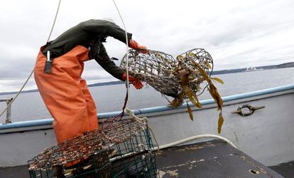 A man pulls a derelict crab pot aboard, June 12, 2014.
