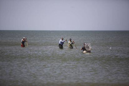 A group of men catching shellfish near Sanlucar de Barrameda in Doñana