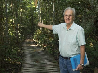 Carlos Nobre in the Cuieiras Ecological Reserve, about 60 miles from Manaus, the capital and largest city of the Brazilian state of Amazonas.