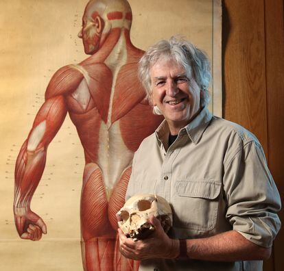 Paleontologist Juan Luis Arsuaga, in his office at the Center for Human Evolution and Behavior, in Madrid.
