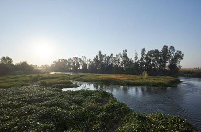 The Guadiana River that flows through Guareña close to the Turuñuelo dig.