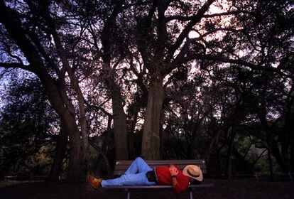 The siesta: the most exported Spanish invention after the mop. In the image, a man enjoys one in the shade of the trees in a park in California.