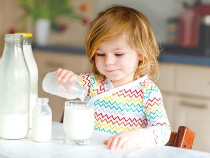 Milk is a complete food because it provides proteins, calcium, phosphorus, carbohydrates, vitamins A, B and D and minerals.