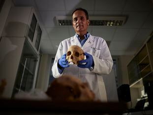 José Antonio Lorente holds up a skull said to belong to Christopher Columbus from skeletal remains from Guadalajara.