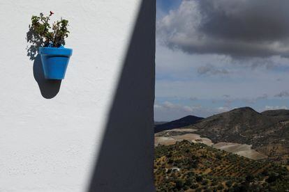 Residents of Andalusia’s white villages usually coat their houses in whitewash once a year before the local festivals are held. At this time of year, it is possible to buy ‘capanclá’ (‘cal para encalar’, or whitewash) on the streets. Here, a flowerpot bathed in sunshine in Olvera.