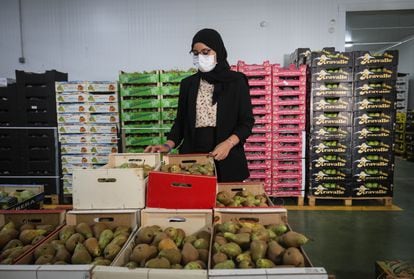 Lamia Azzi, the daughter of the Moroccan owners of Frutas Azahara, at the company warehouse.