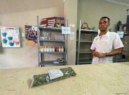A pharmacist displays moringa leaves, which are sold as medicine in the nearly empty pharmacy, on October 12.