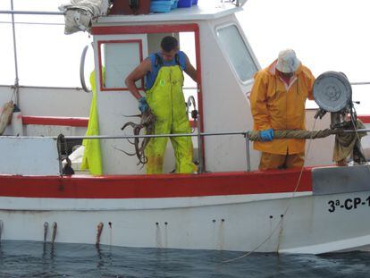 Two fishermen pull an octopus out of the water in Altea Bay.