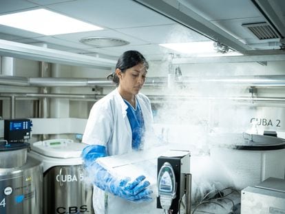 A woman works in the cell cryopreservation room at the Hospital Clinic of Barcelona, on September 28, 2023.