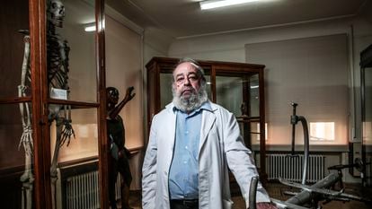 Fermín Viejo Tirado, director of the Javier Puerta Anatomy Museum in Madrid, next to the skeleton of a Napoleonic soldier.