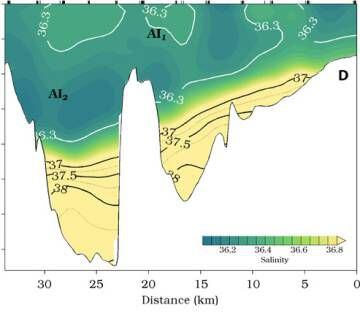 This chart shows how the saltier Mediterranean current is cut up by the uneven seabed.