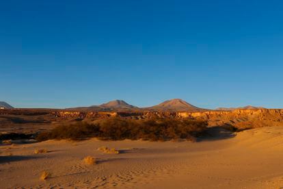 Landscape of the Atacama Desert near the Chajnantor vineyard in the Zapar sector.