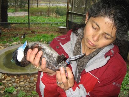 Biologist Patricia Brennan with a lake duck.