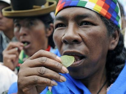 Growers chew coca leaves during a La Paz rally on Monday.