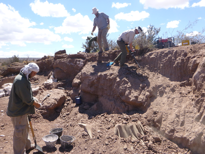 Argentinian, American and Canadian scientists discovered the fossils in 2012.