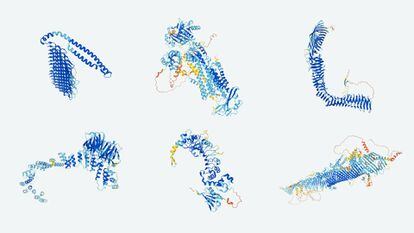 Protein structures predicted by the AI system AlphaFold.