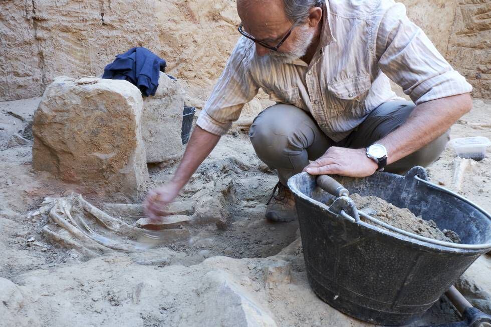 Sebastián Celestino, one of the excavation’s leading archaeologists.