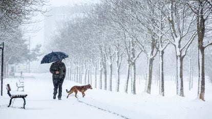 A man walking his dog in the Basque city of Vitoria on Monday.