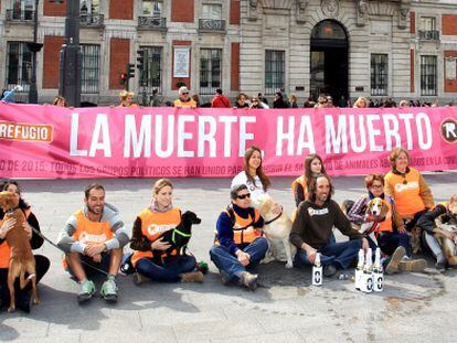 Volunteers from the El Refugio animal protection association celebrate the Madrid regional assembly’s decision to study changing abandoned pet laws.