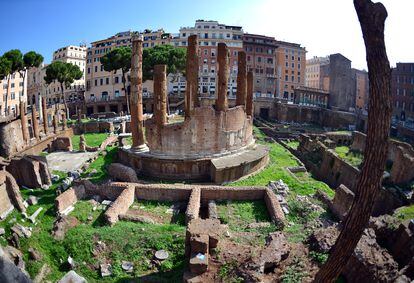 This picture shows a general view on October 11, 2012 downtown Rome of the Largo di Torre Argentina, the exact spot among ancient ruins where Roman general Julius Caesar was assassinated on March 15, 44 BC. 