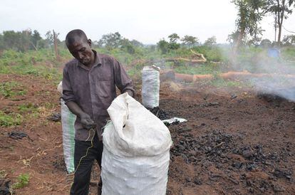 Charcoal burning in Angagura Pader district, northern Uganda. 

