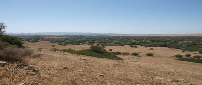 View of the depression of La Janda from the hill of La Alcachofa.