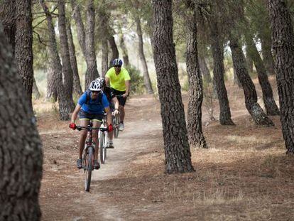 Cyclists in La Pedriza in the Sierra de Guadarrama National Park, Madrid.